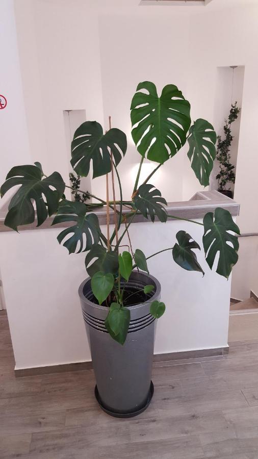Centar Vodice Apartmani Extérieur photo